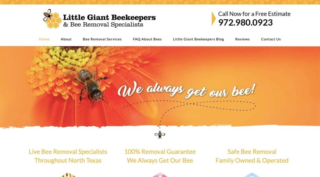 Texas Beekeeper and removal specialist website