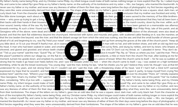 Image of a lot of text